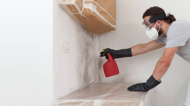 Professional Mold Remediation technician working in Milton, FL