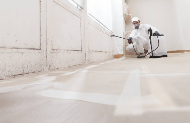 24/7 Emergency Mold Remediation experts in Milton, FL